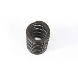 SPRING - VALVE - CYLINDER HEAD