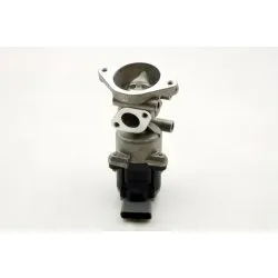 VALVE - EGR - TD6 2,7 DIESEL