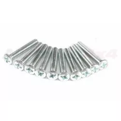 M6 X 40 RSD CSK REC MSCREW BZP