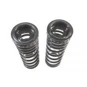 Coil Spring Conversion Kit