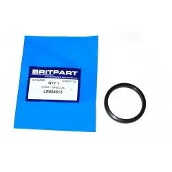 SPECIALE RING